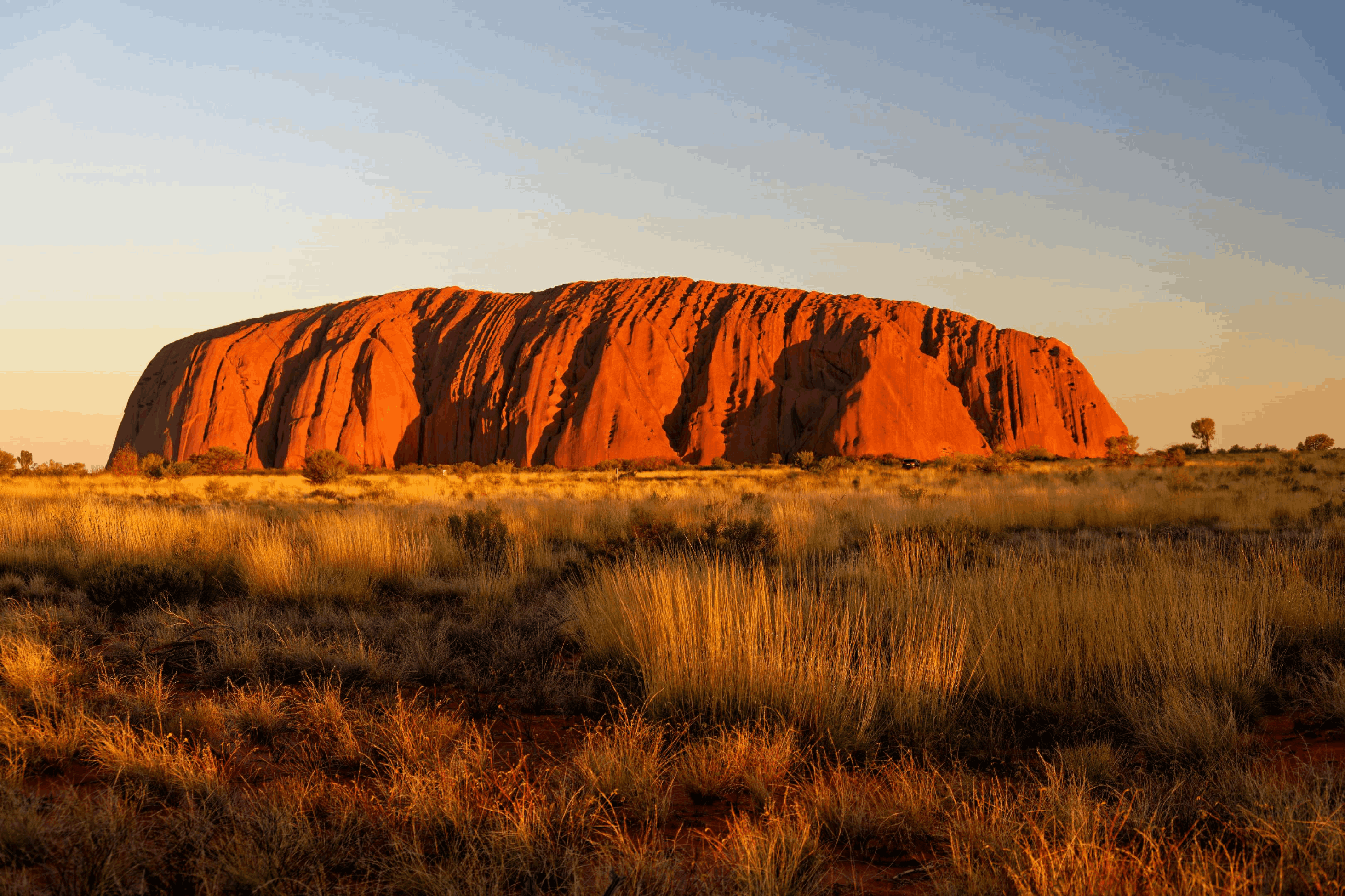 Discover Australia