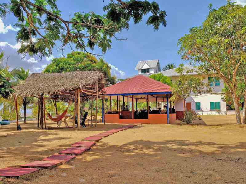 Choose between a rustic lunch at Sloth Island Nature Resort or a modern meal at Aruwai Resort.