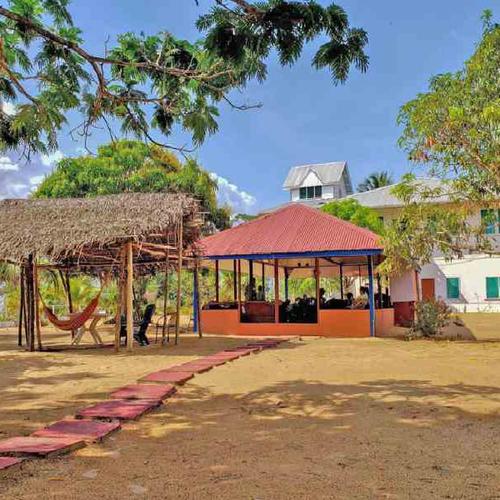 Choose between a rustic lunch at Sloth Island Nature Resort or a modern meal at Aruwai Resort. Choose between a rustic lunch at Sloth Island Nature Resort or a modern meal at Aruwai Resort.