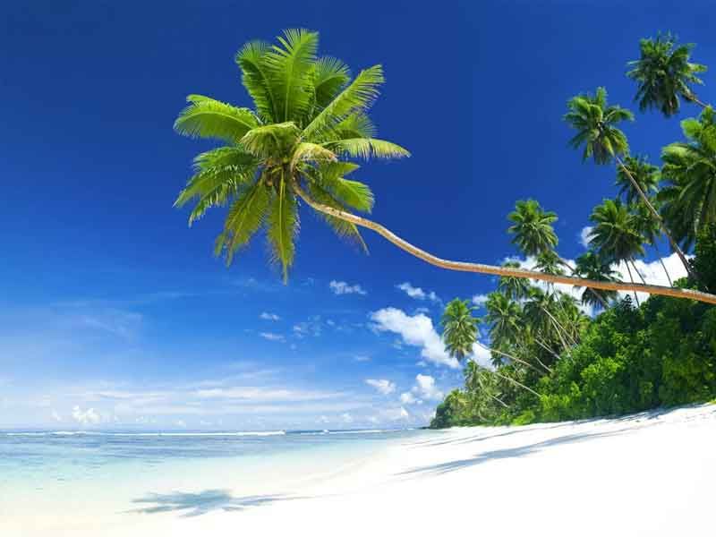 Caribbean