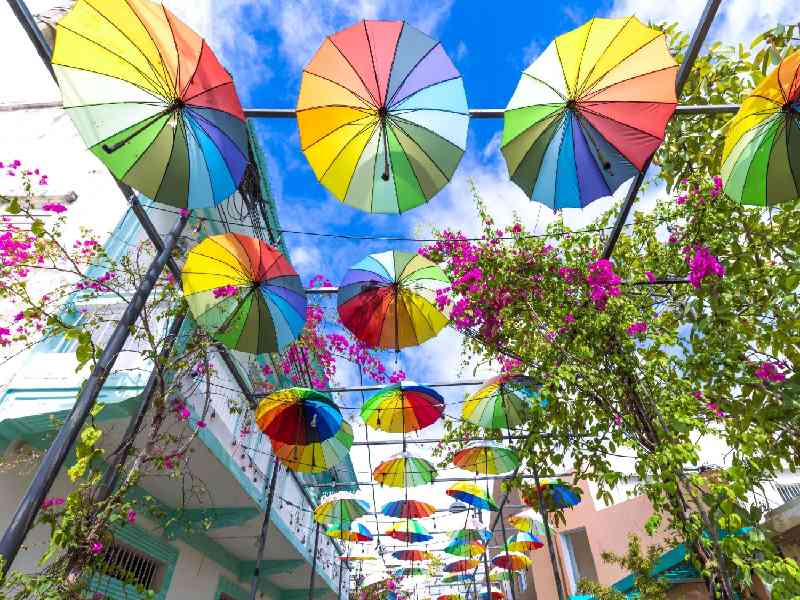 Discover Puerto Plata’s rich culture through historic forts, colorful streets, and vibrant colonial landmarks.