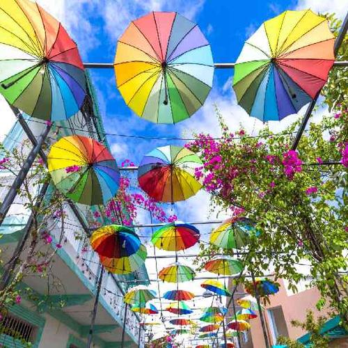 Discover Puerto Plata’s rich culture through historic forts, colorful streets, and vibrant colonial landmarks. Discover Puerto Plata’s rich culture through historic forts, colorful streets, and vibrant colonial landmarks.