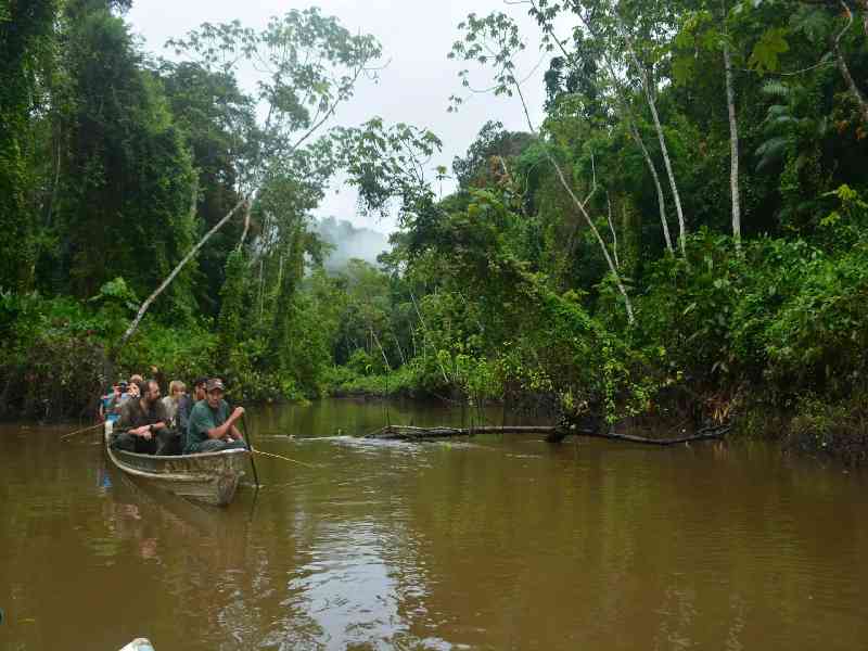 Enjoy a guided river cruise with local lunch and seamless transport included