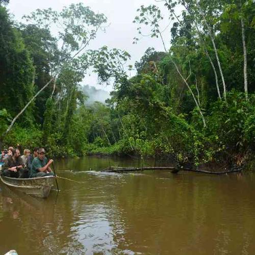 Enjoy a guided river cruise with local lunch and seamless transport included Enjoy a guided river cruise with local lunch and seamless transport included