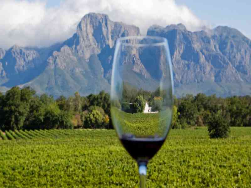 Explore the stunning Cape Winelands with vineyard tastings, scenic landscapes, and unforgettable local cuisine.