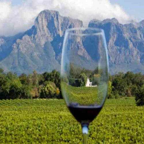 Explore the stunning Cape Winelands with vineyard tastings, scenic landscapes, and unforgettable local cuisine. Explore the stunning Cape Winelands with vineyard tastings, scenic landscapes, and unforgettable local cuisine.