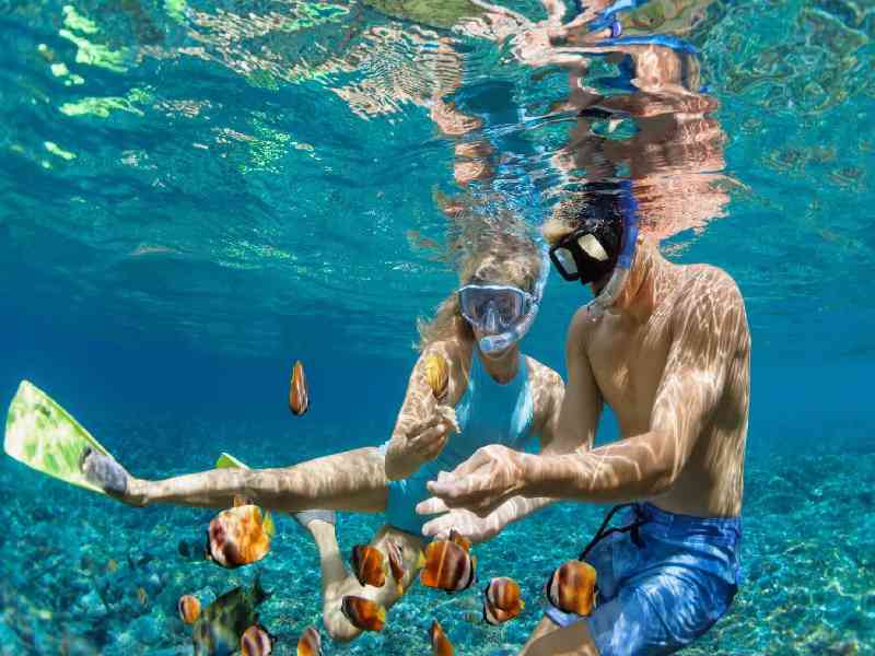 Snorkel in clear waters and discover colorful marine life and coral reefs