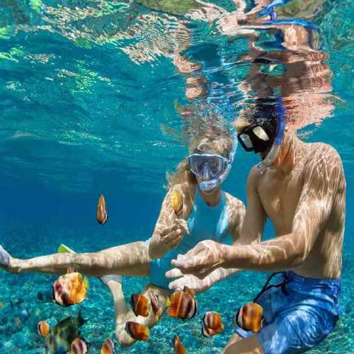 Snorkel in clear waters and discover colorful marine life and coral reefs Snorkel in clear waters and discover colorful marine life and coral reefs