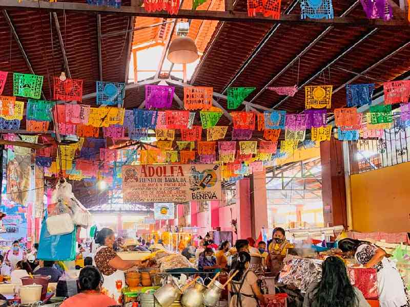 Discover Oaxaca’s vibrant culture through colorful streets, artisan markets, ancient ruins, and lively local traditions.