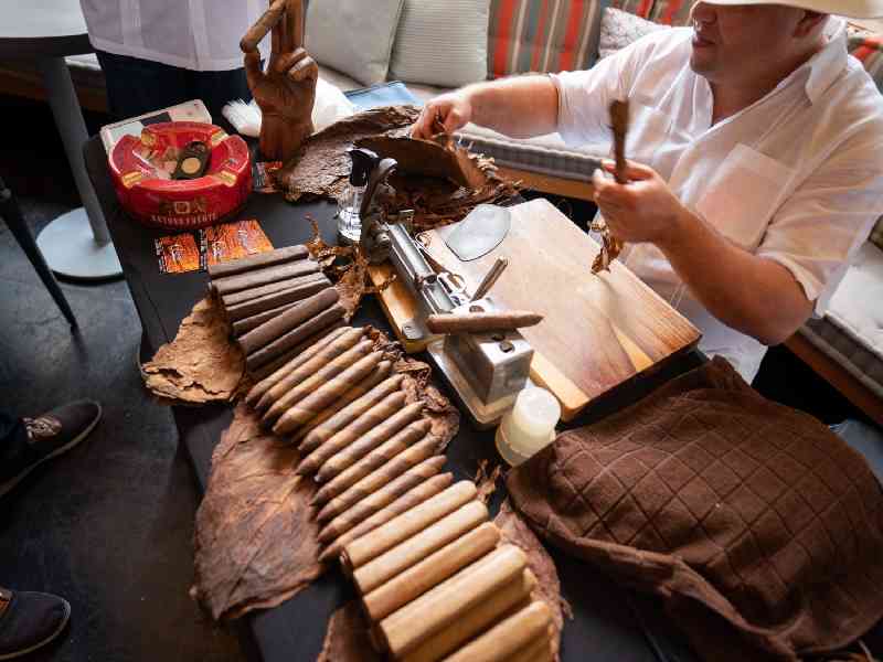 Explore the city’s unique heritage with amber jewelry crafting, cigar-making experiences, and scenic cultural hotspots.