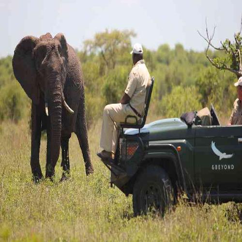 Experience thrilling safari game drives in Kruger National Park while searching for Africa’s legendary Big Five. Experience thrilling safari game drives in Kruger National Park while searching for Africa’s legendary Big Five.