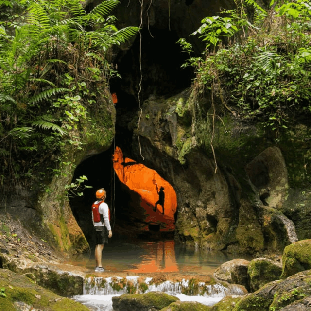 Belize: Jungle to Island Belize: Jungle to Island
