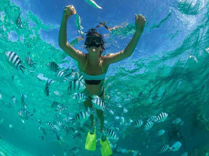 Snorkel along the coast and explore hidden spots including a bat cave