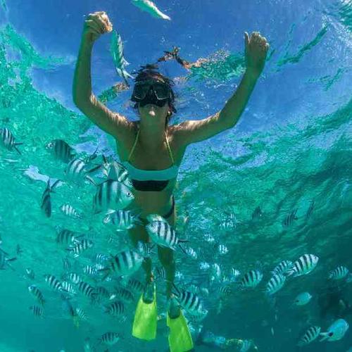 Snorkel along the coast and explore hidden spots including a bat cave Snorkel along the coast and explore hidden spots including a bat cave