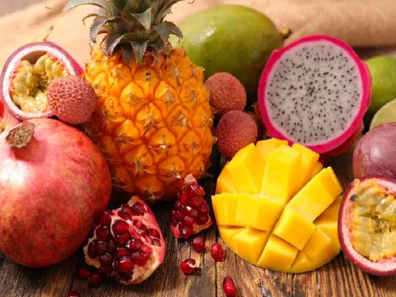 End the adventure with relaxing refreshments, fresh local fruit, and hot cocoa after an action-packed day outdoors.