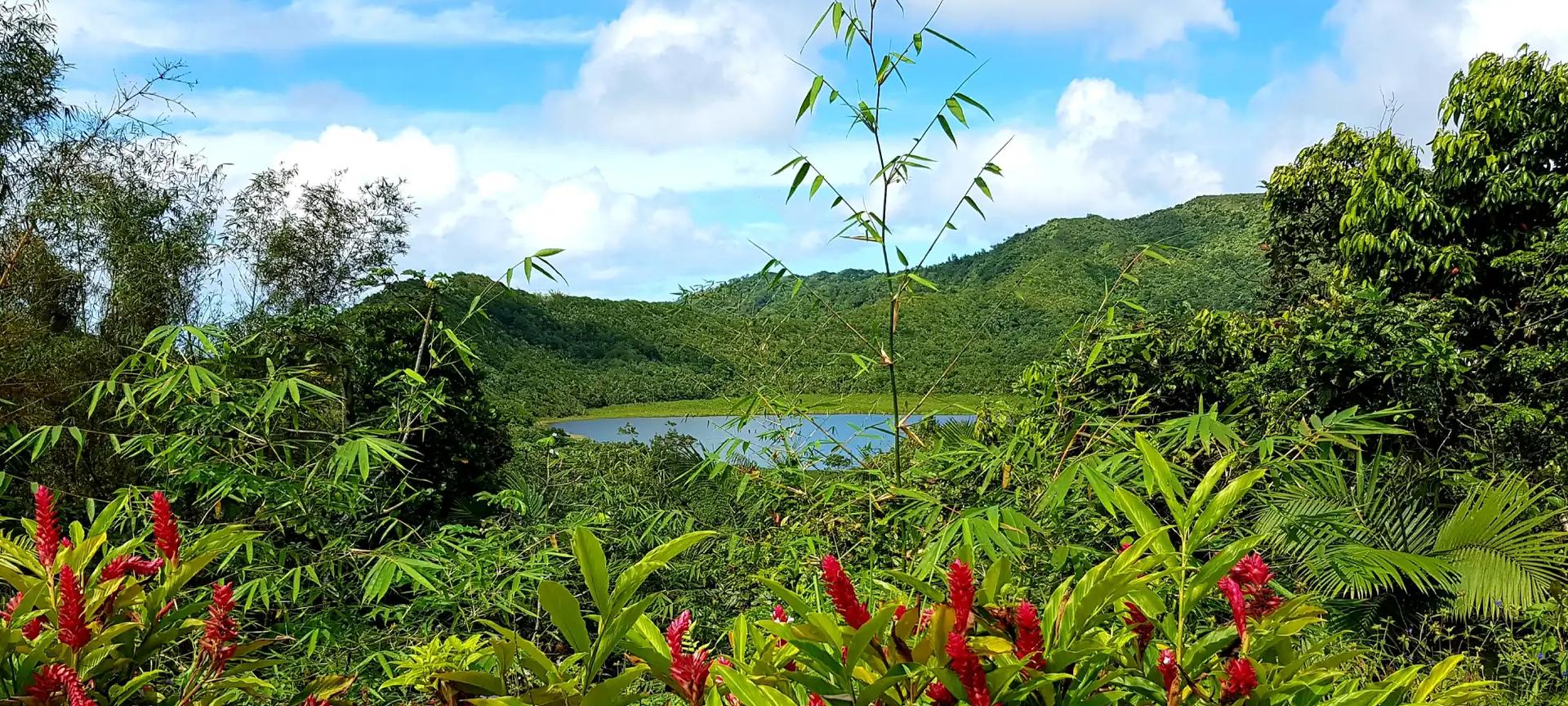 Safari Waterfall Experience Safari Waterfall Experience