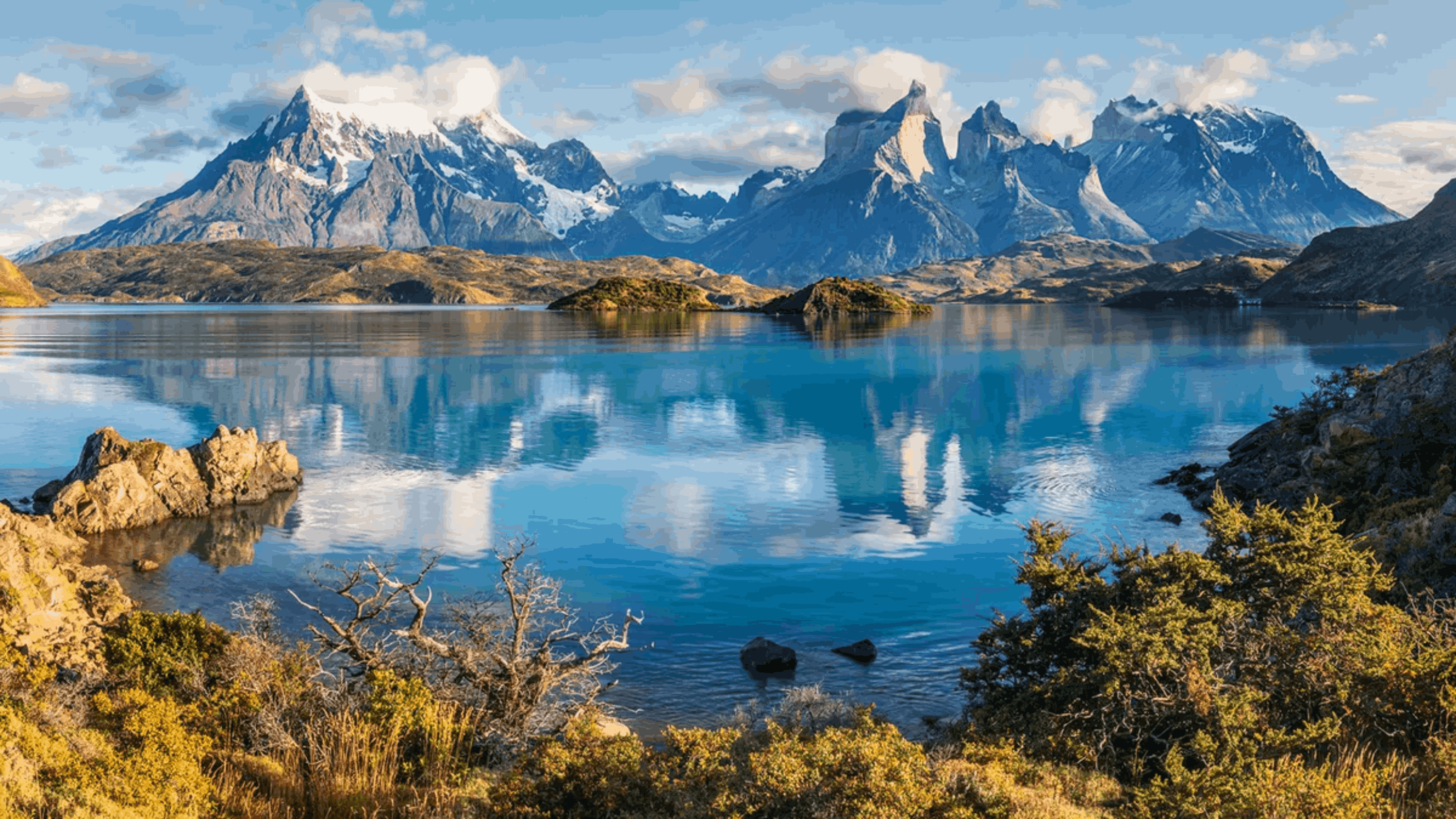 The Argentina Trip