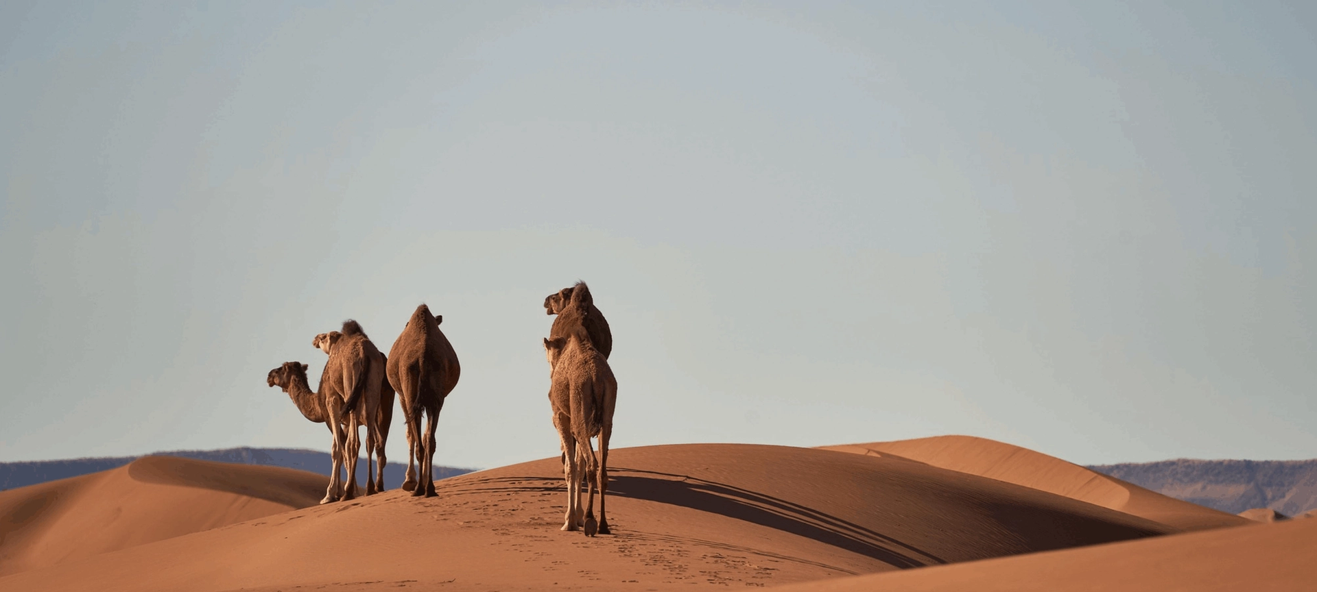 The Best of Morocco The Best of Morocco