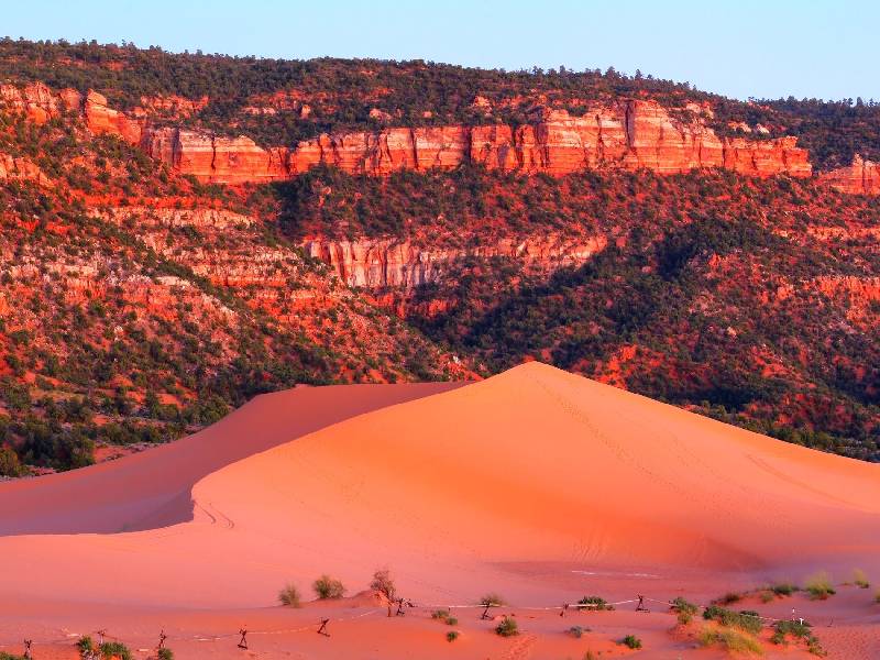 Glamp in cosy tents admist the pink sand dunes of the Sahara