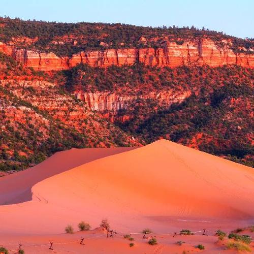 Glamp in cosy tents admist the pink sand dunes of the Sahara Glamp in cosy tents admist the pink sand dunes of the Sahara