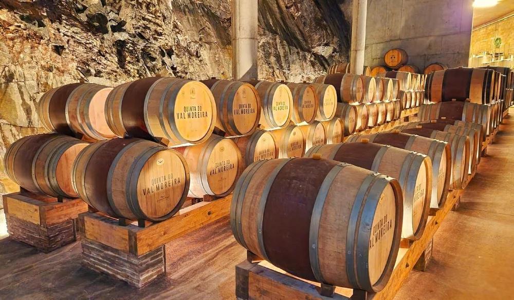 Tasting port in the cellars where it is aged