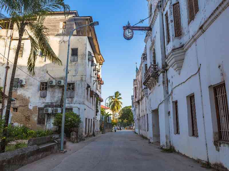 Experience authentic local culture through spice tours, traditional ceremonies, and the historic streets of Stone Town