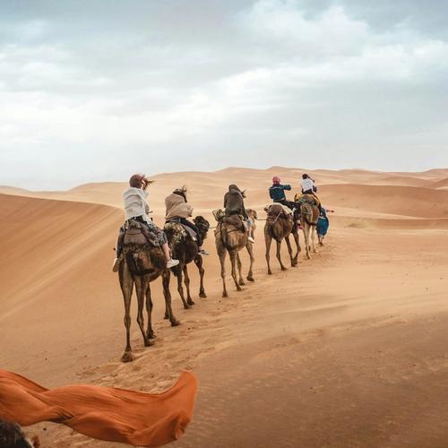 A camel ride into the desert at sunset, then dinner under the stars A camel ride into the desert at sunset, then dinner under the stars
