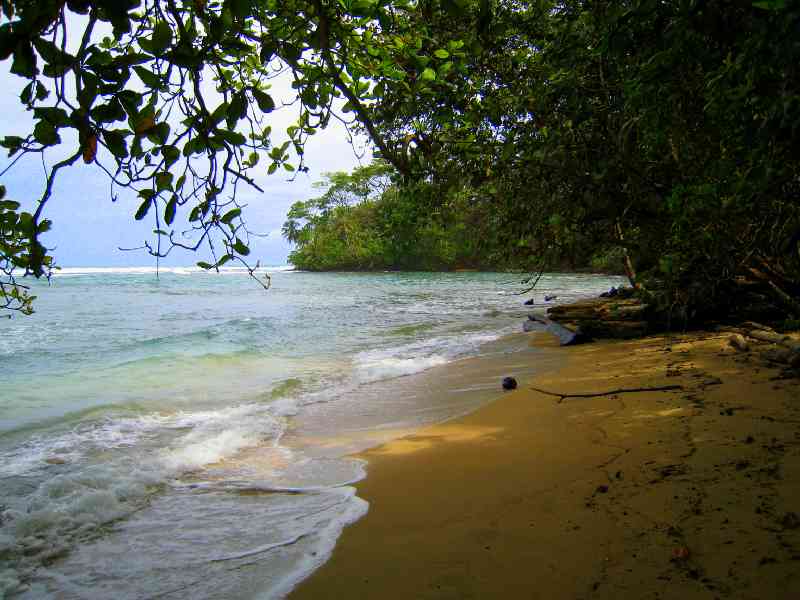 Sail the pacific and reach secret beaches on a private catamaran