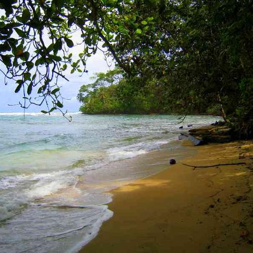 Sail the pacific and reach secret beaches on a private catamaran Sail the pacific and reach secret beaches on a private catamaran