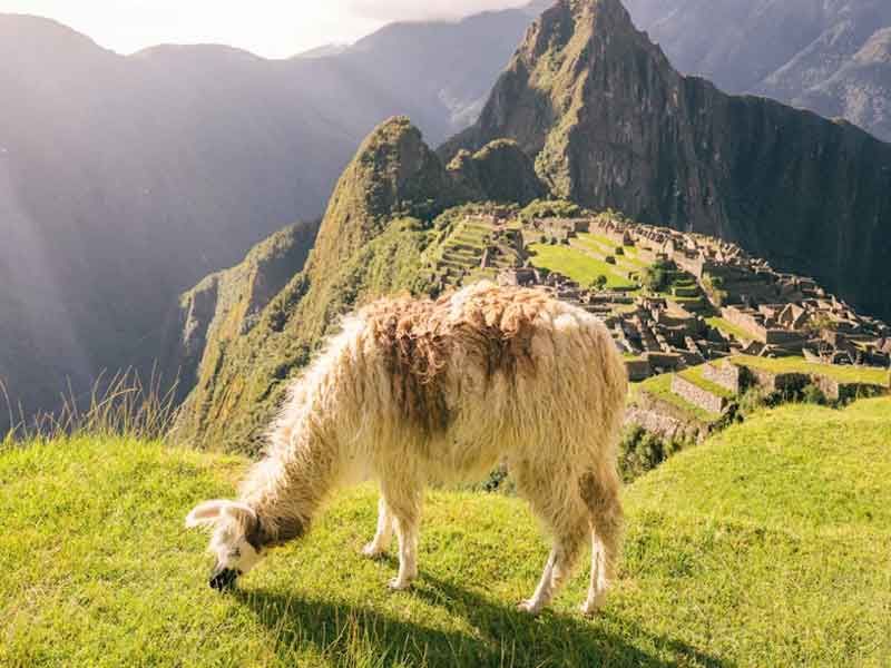 Peru