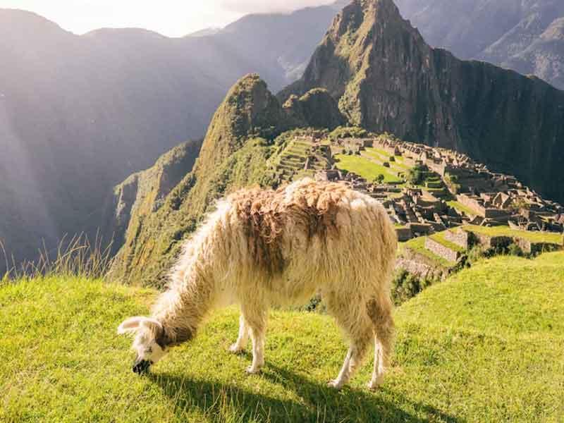 Peru Peru