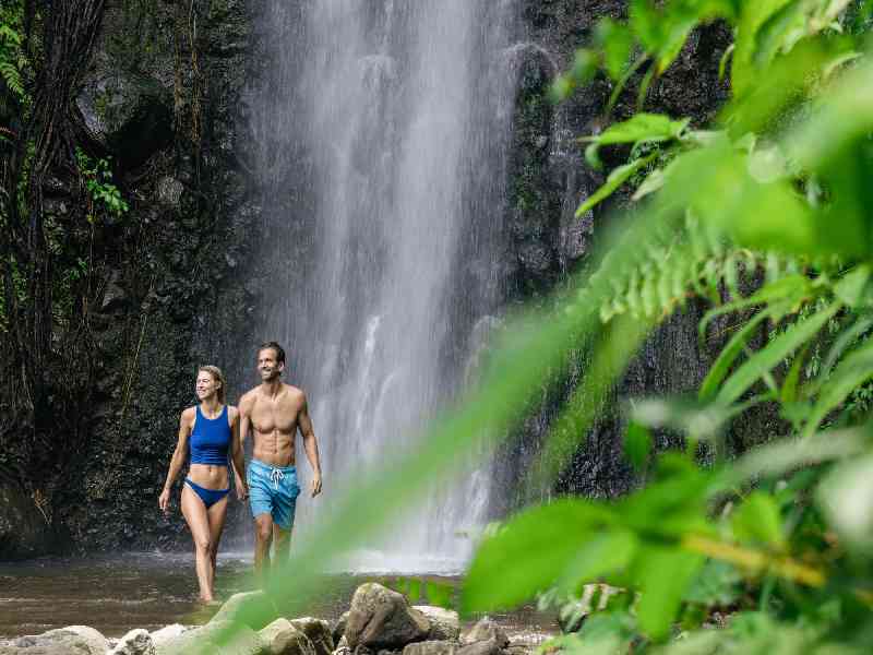 Swim beneath the twin cascades of Dark View Waterfalls before peak crowds