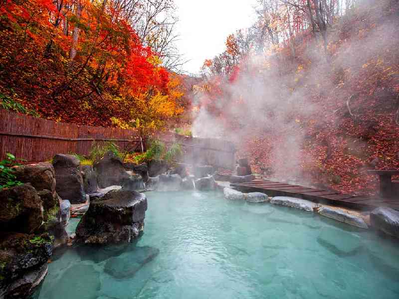Relax in a traditional Japanese onsen and enjoy lively evenings of karaoke with your group.