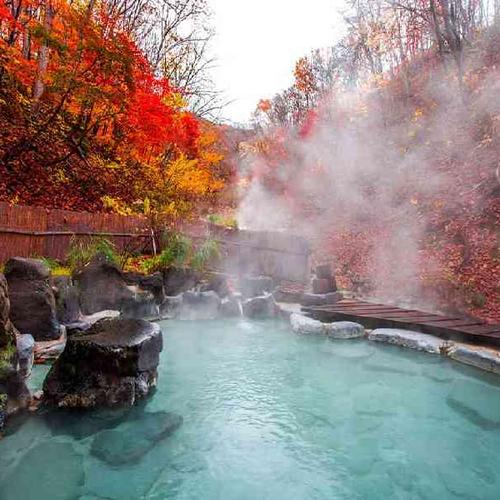 Relax in a traditional Japanese onsen and enjoy lively evenings of karaoke with your group. Relax in a traditional Japanese onsen and enjoy lively evenings of karaoke with your group.