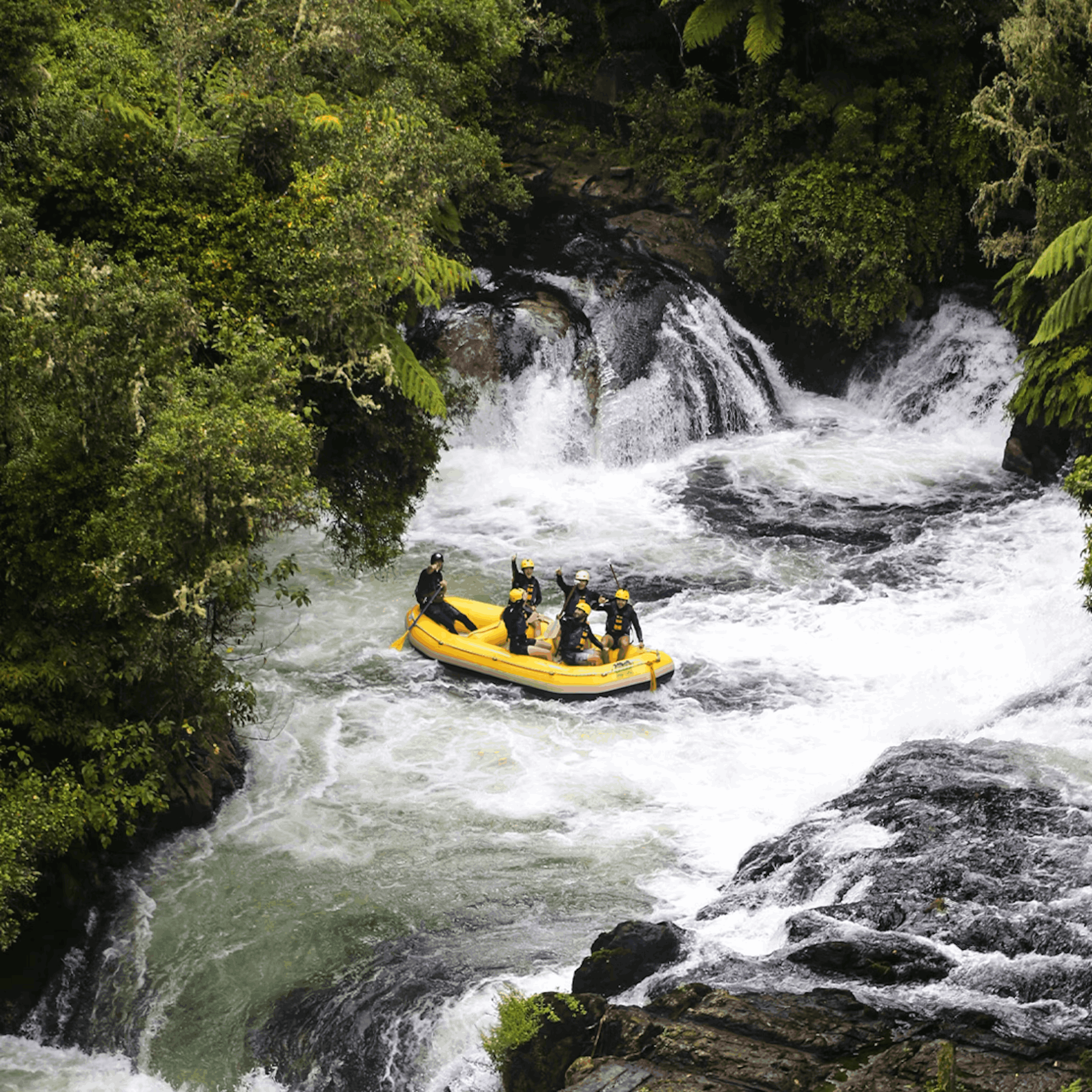 Untamed Costa Rica