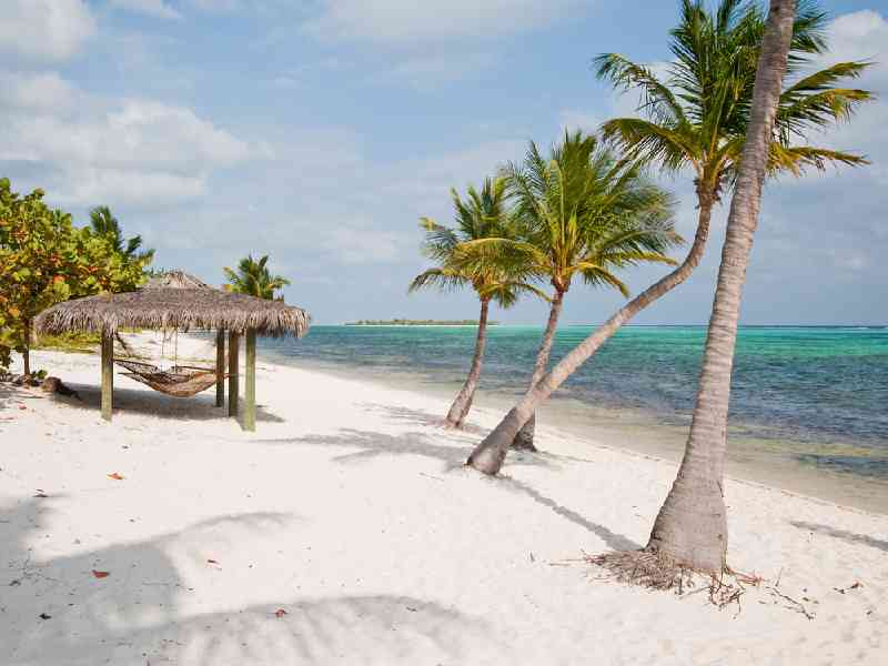 Snorkel and swim in Tobago’s hidden bays