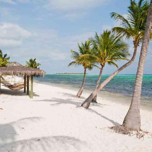 Snorkel and swim in Tobago’s hidden bays Snorkel and swim in Tobago’s hidden bays