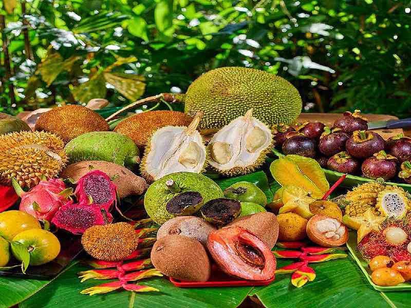 Experience local island culture with scenic photo stops, tropical fruit tastings, and vibrant coastal views.