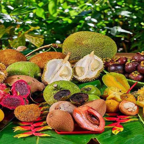 Experience local island culture with scenic photo stops, tropical fruit tastings, and vibrant coastal views. Experience local island culture with scenic photo stops, tropical fruit tastings, and vibrant coastal views.