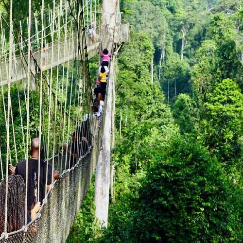 Explore Kakum National Park’s rainforest and experience its famous canopy walkway Explore Kakum National Park’s rainforest and experience its famous canopy walkway