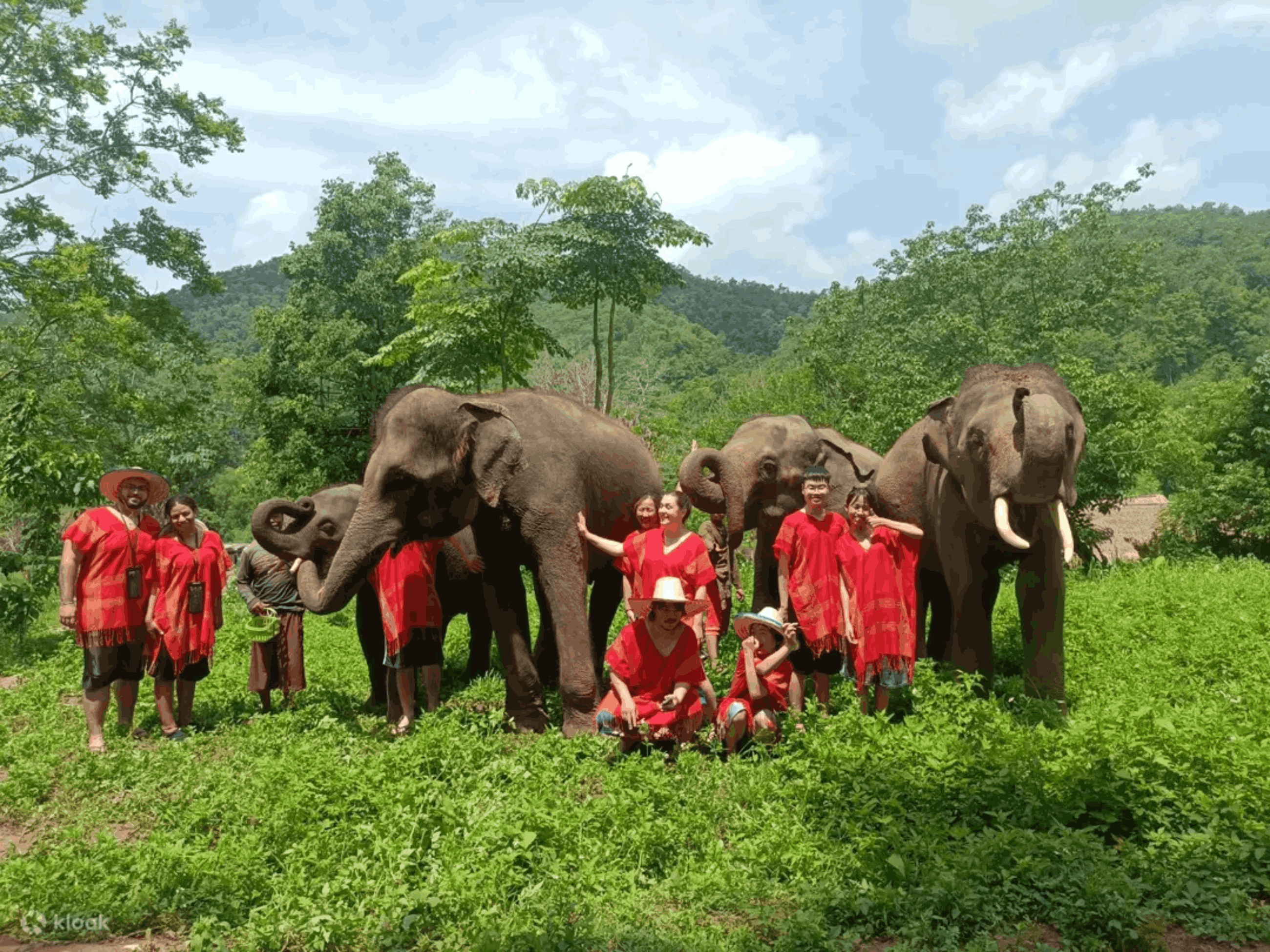 The Thailand Trip
