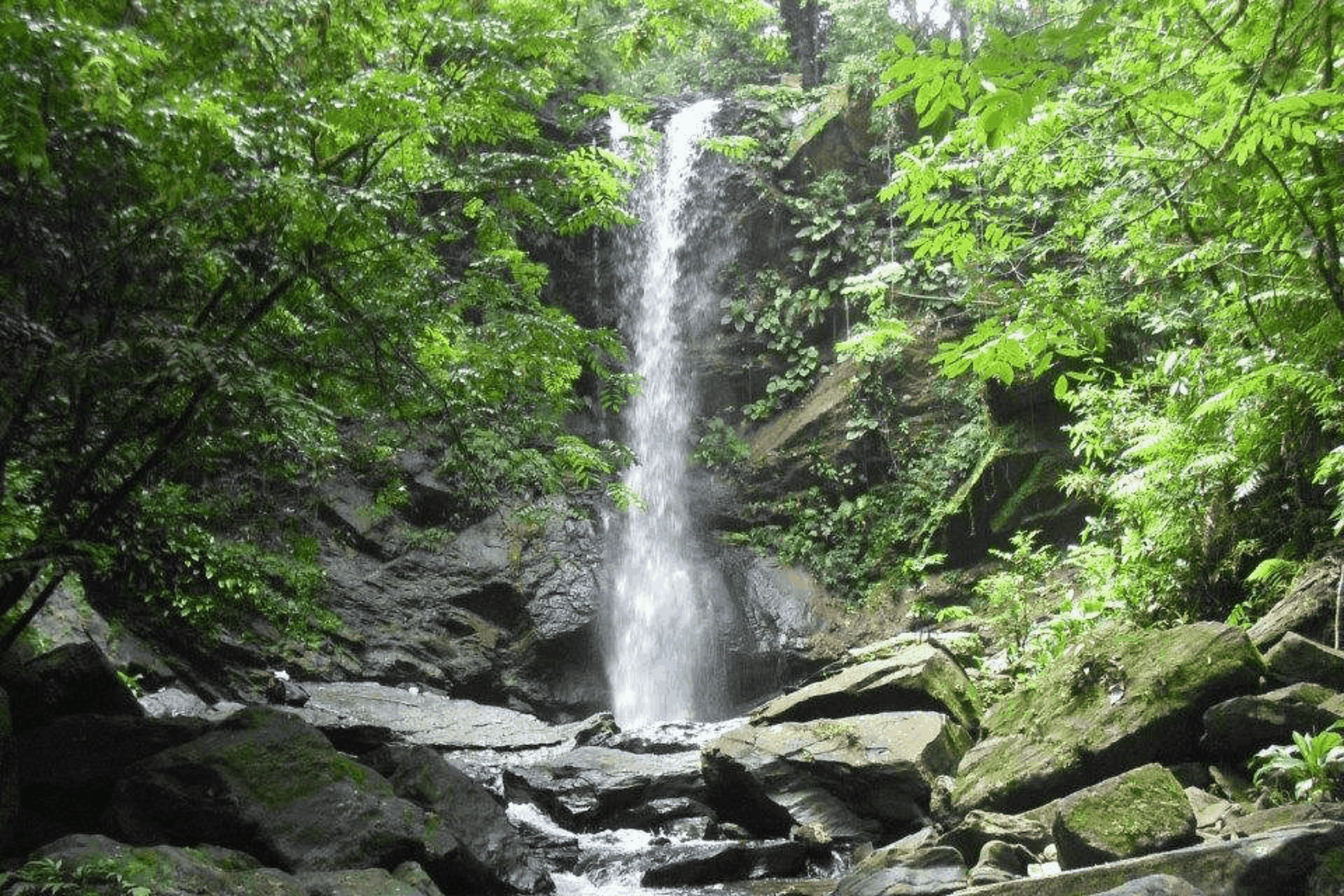 Hidden Gem: Avocat Waterfall Hike & Beach Stop