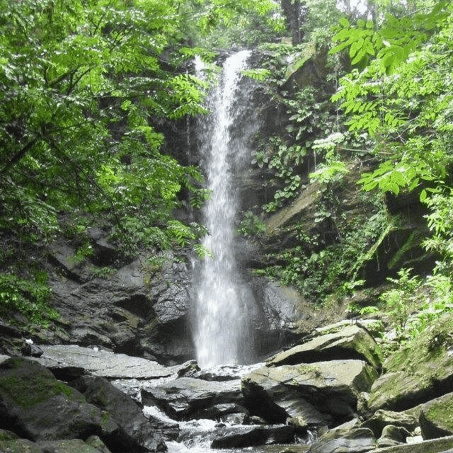 Hidden Gem: Avocat Waterfall Hike & Beach Stop Hidden Gem: Avocat Waterfall Hike & Beach Stop