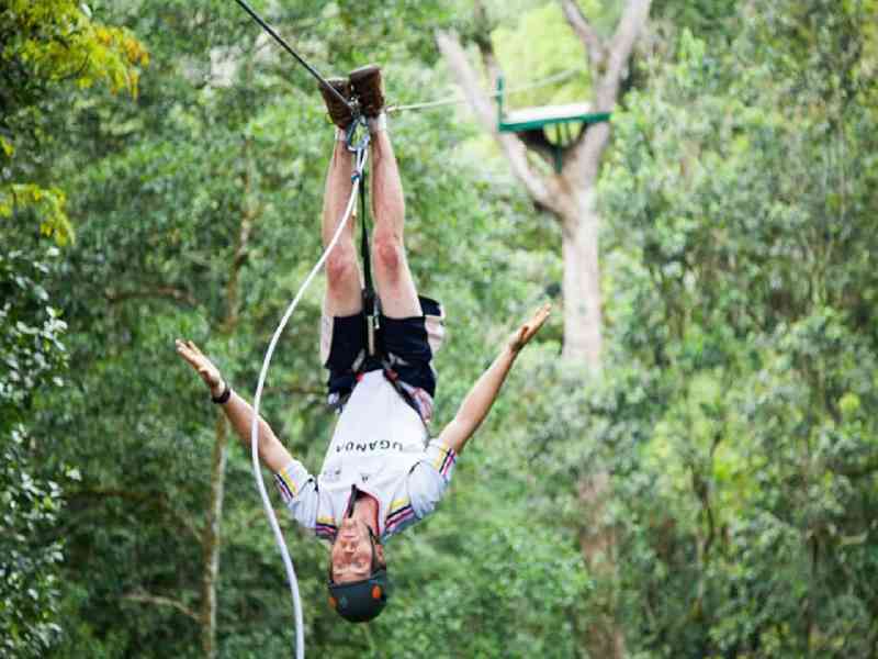 Experience thrilling wildlife adventures including chimpanzee tracking, Nile activities in Jinja, and scenic safari regions.