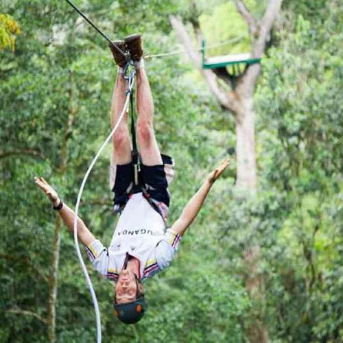 Experience thrilling wildlife adventures including chimpanzee tracking, Nile activities in Jinja, and scenic safari regions. Experience thrilling wildlife adventures including chimpanzee tracking, Nile activities in Jinja, and scenic safari regions.