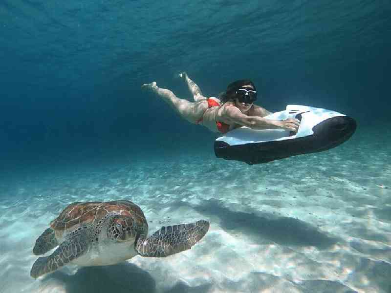 Swim with the wild sea turtles at Playa Piskado