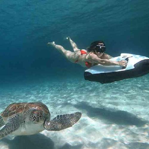 Swim with the wild sea turtles at Playa Piskado Swim with the wild sea turtles at Playa Piskado