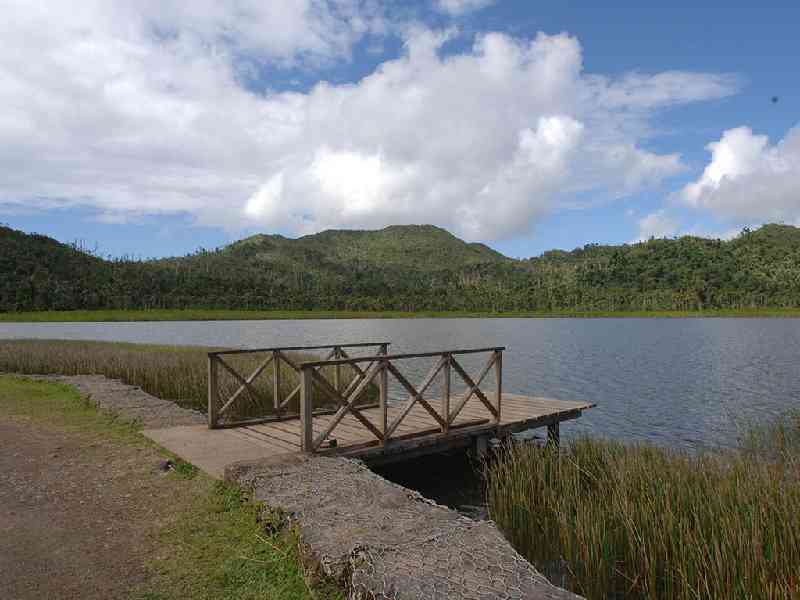 Journey through the lush Grand Etang Forest and discover Grenada’s rich wildlife, tropical scenery, and volcanic landscapes.