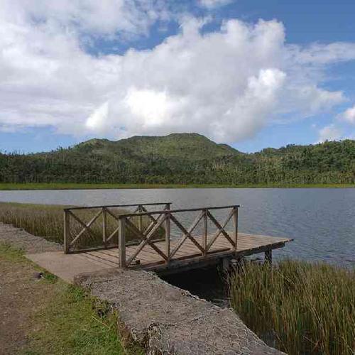 Journey through the lush Grand Etang Forest and discover Grenada’s rich wildlife, tropical scenery, and volcanic landscapes. Journey through the lush Grand Etang Forest and discover Grenada’s rich wildlife, tropical scenery, and volcanic landscapes.