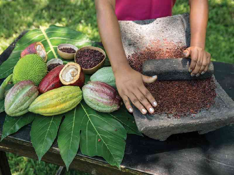 Learn the ancient Mayan methods of chocolate-making